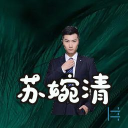 苏婉清